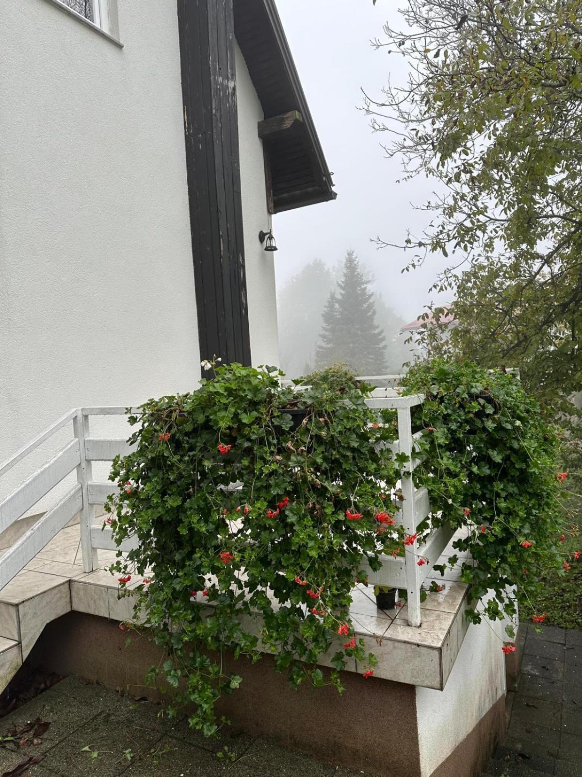 Guesthouse Nikola Plitvička Jezera Екстериор снимка